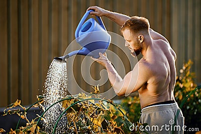 Young European man uses garden watering can to water bed of cucumbers. Stock Photo