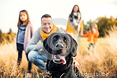 A young family with two small children and a dog on a meadow in autumn nature. Stock Photo