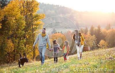 A young family with two small children and a dog on a walk in autumn nature. Stock Photo