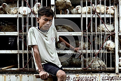 Young farmer Editorial Stock Photo