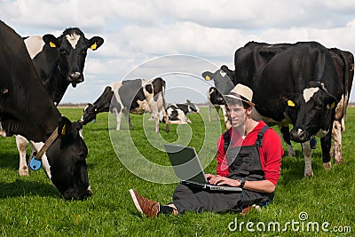 Young farmer with laptop in field with cows Stock Photo