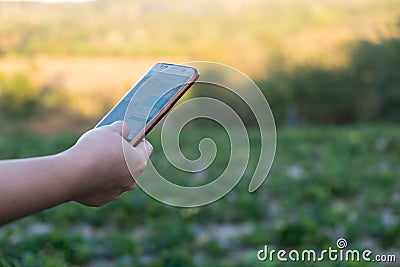 Young farmer observing some charts vegetable filed in mobile phone, Eco organic modern smart farm 4.0 technology concept, Agronomi Editorial Stock Photo