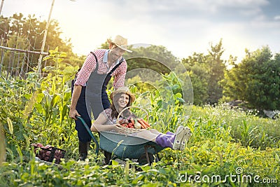 Young farmer ride his tired woman in wheelbarrow at farm Stock Photo