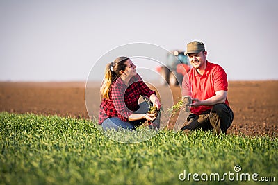 Young farmers examing planted wheat while tractor is plowing fi Stock Photo