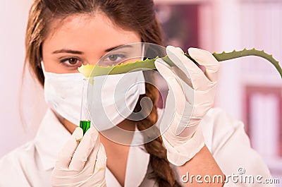 Young female biologist experimenting with leaf Stock Photo