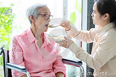Young female caregiver or daughter feeding senior woman or mother in wheelchair at retirement house or home,asian elderly patient Stock Photo