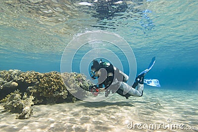 Young female diver in clear shallow water. Stock Photo