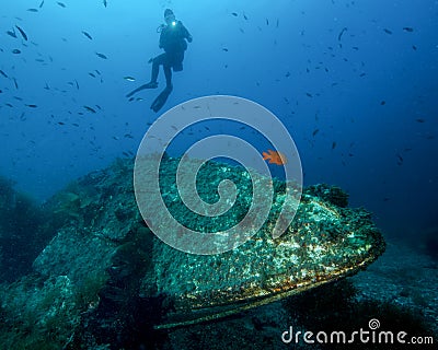 A Young Female Diver Shines a Light on a Small Underwater Wreck off of Catalina Island in California Stock Photo