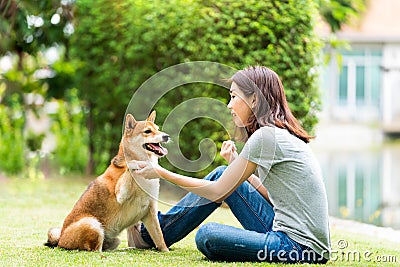 Young female and dog summer concept. The girl plays with the Shiba Inu dog in the backyard. Asian women are teaching and training Stock Photo