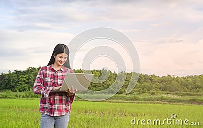young female farmer using laptop technology checks growing rice quality in organic paddy Stock Photo