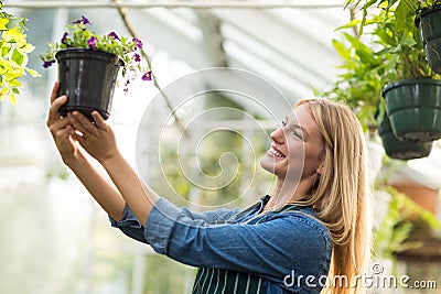 Young female gardener looking at potted flowering plant Stock Photo