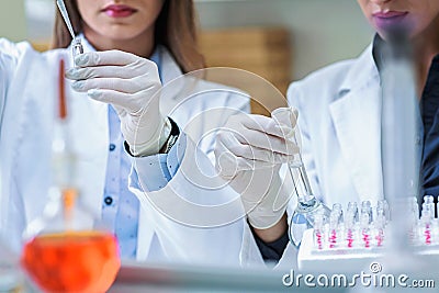 Young female researchers conducting laboratory test Stock Photo