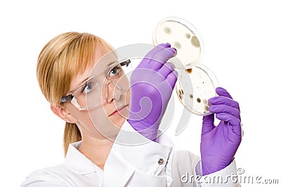 Young female scientist comparing 2 petri dishes Stock Photo