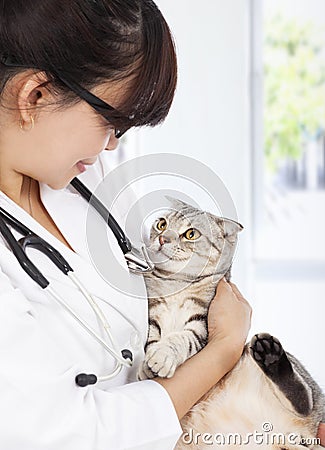 Young female vet holding the sick cat at clinic Stock Photo