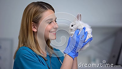 Young female vet playing with bunny, care and love to patient in animal hospital Stock Photo