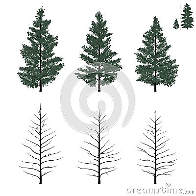 Young firs set Vector Illustration