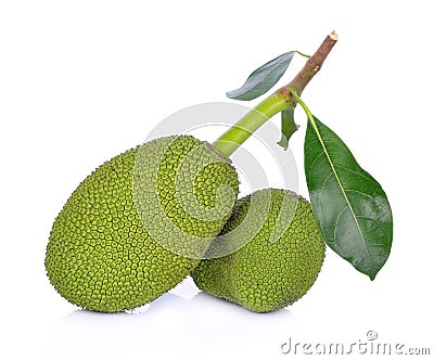 Young fruit jackfruit on white background Stock Photo