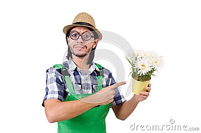 Young funny gardener with pot of camomiles Stock Photo