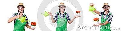 Young funny gardener with tulips and watering can isolated oin w Stock Photo