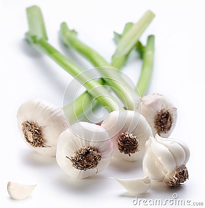 Young garlic Stock Photo