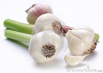 Young garlic Stock Photo