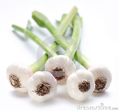 Young garlic Stock Photo