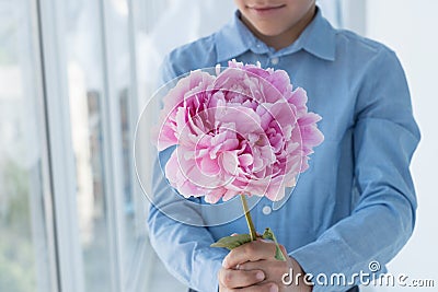 Young gentlemen in blue shirt hold huge gentle pink peony in hands and smile. Stock Photo