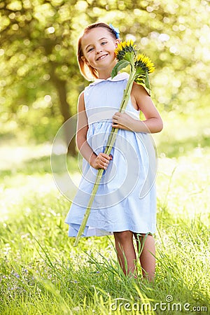 Young Girl In Field Holding Sunflower Stock Photo