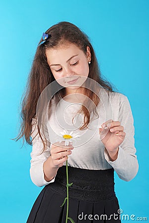 Young girl guesses on a chamomile flower. Young girl tears off petals of daisy. Stock Photo