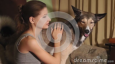 Young Girl with a Dog at Home, Feed the Dog. Pet Stock Footage - Video of  beauty, floor: 169880554