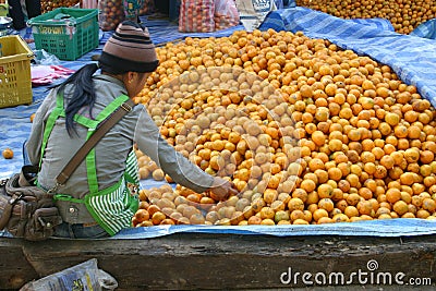 Young girl selling oranges, Southeast Asia Editorial Stock Photo