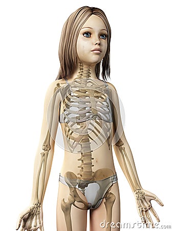 Young girl - skeleton Stock Photo