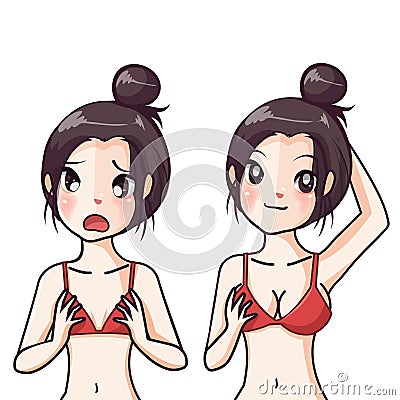 Young girl small boobs compare with big boobs girl Vector Illustration