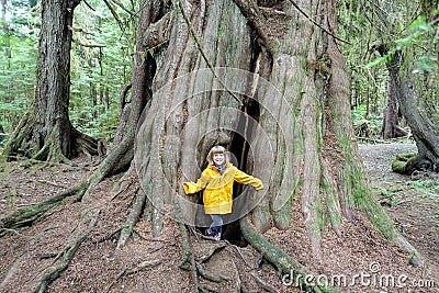 A young girl smiling as she stands inside a giant spruce tree Stock Photo