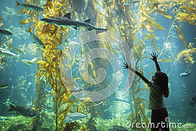 Young Girl Standing Up Against Large Aquarium Observation Glass Stock Photo
