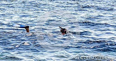 Young girl in a swimming mask and snorkeling swims in the sea in Egypt Dahab South Sinai Editorial Stock Photo