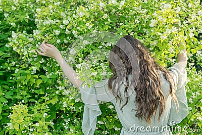 A young girl in a vintage-style dress gently embraces the shrub Philadelphus Stock Photo