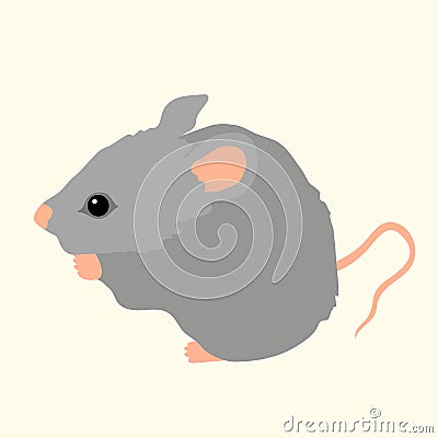 Young gray mouse sits Vector Illustration