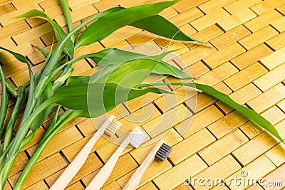 Young green bamboo branches, leaves, toothbrush on wooden background. Spa, massage, welbeing, zen concept Stock Photo