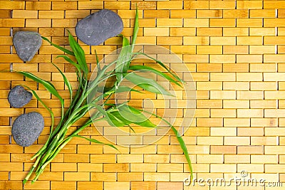 Young green bamboo branches and leaves on wooden carpet background texture. Spa, welbeing, zen concept Stock Photo