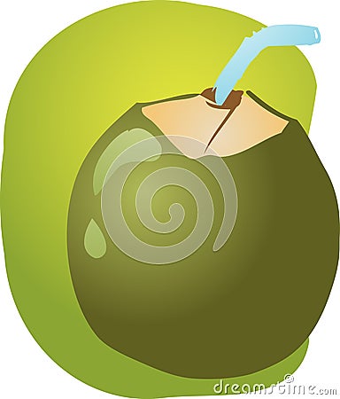 Young green coconut Vector Illustration