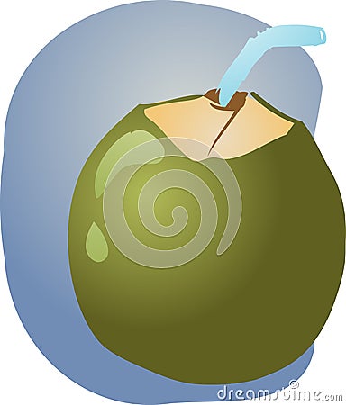 Young green coconut Vector Illustration