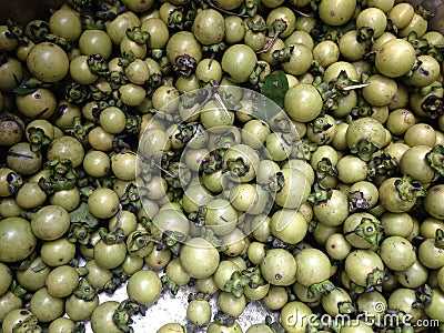 Young green ebony tree fruits, Diospyros mollis, in large stainless steel container Stock Photo