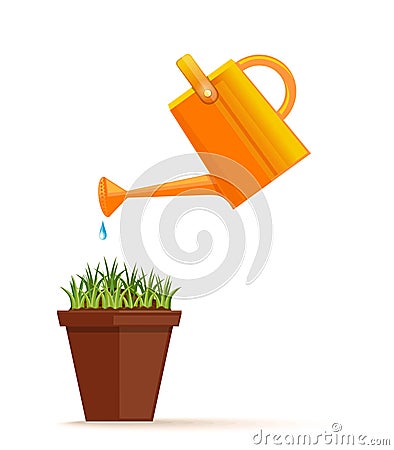 Young green grass in a flower pot in a pot is watered from a plastic watering can Vector Illustration