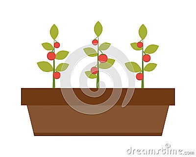 Young green plant seedling growing in a soil flat vector. Vector Illustration