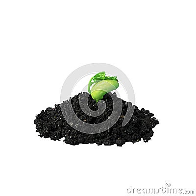 Young green sprout in the ground isolate. Seedling of seeds. The growth of new life. spring Stock Photo