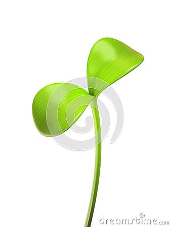 Young green sprout isolated Stock Photo