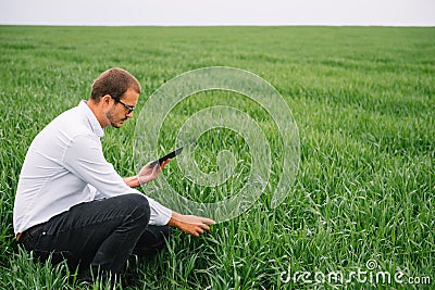 Young handsome agronomist, agriculture engineer standing in green wheat field with tablet in hands in early summer. Agribusiness Stock Photo