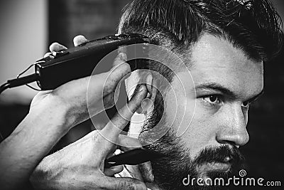 Young handsome barber making haircut for attractive man in barbershop Stock Photo