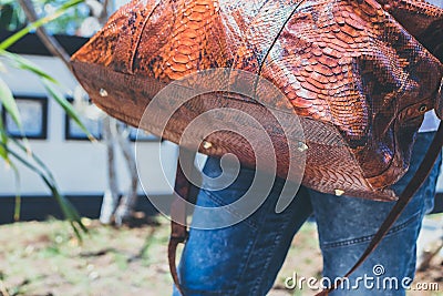 Young handsome man with luxury snakeskin python travel bag. Bali island, Indonesia. Stock Photo